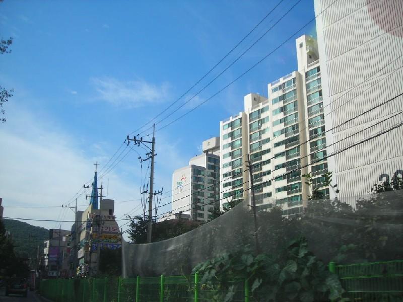 DSCN6448