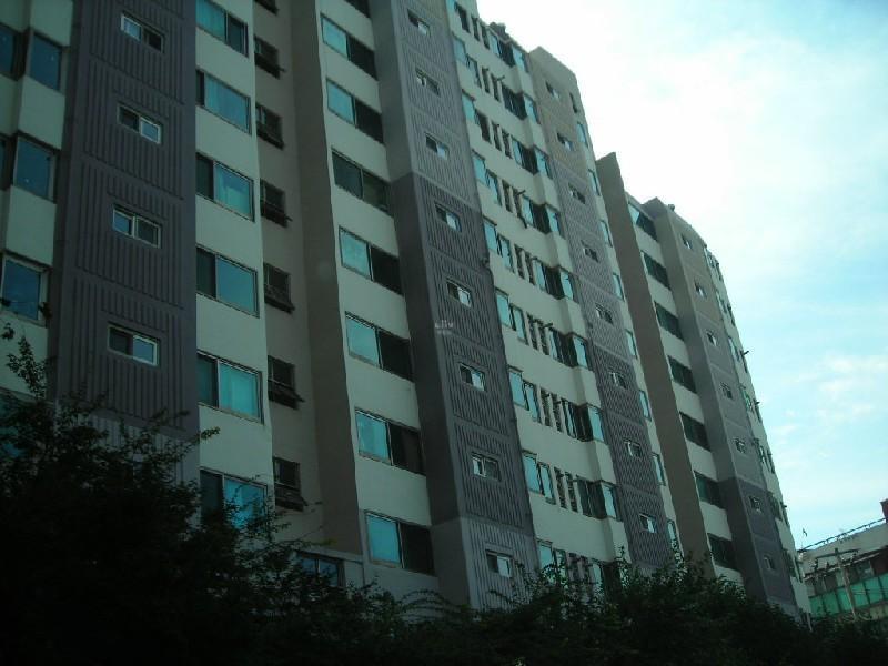 DSCN6485