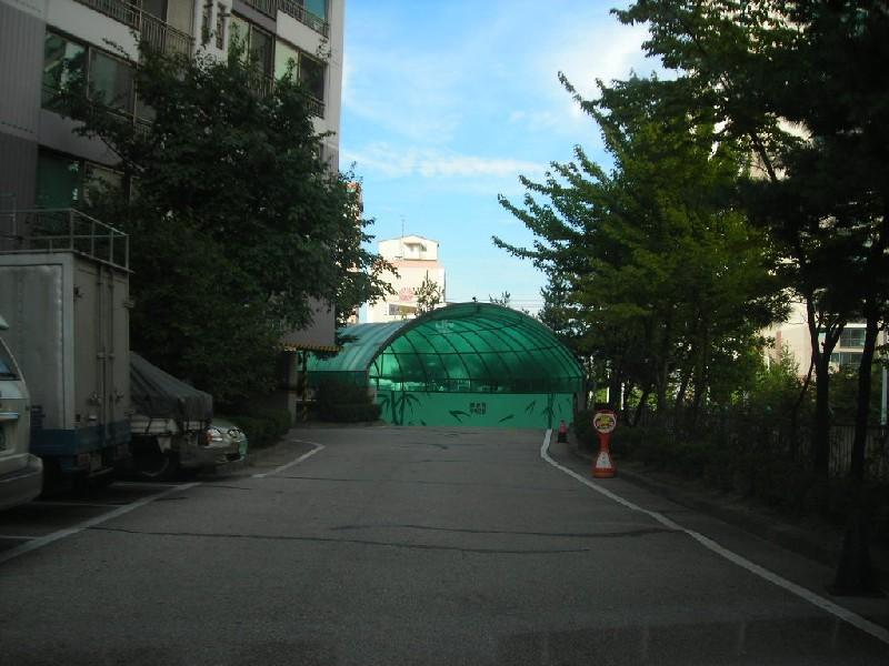 DSCN6484