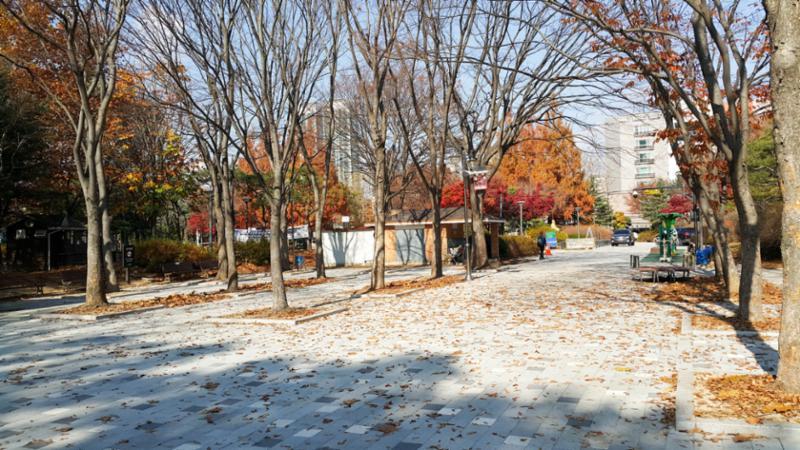 단지 주변에 위치한 백석천근린공원입니다