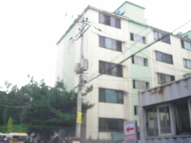 DSCN6822