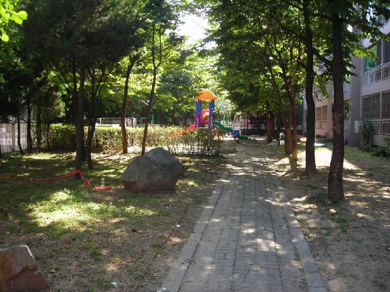 DSCN7143