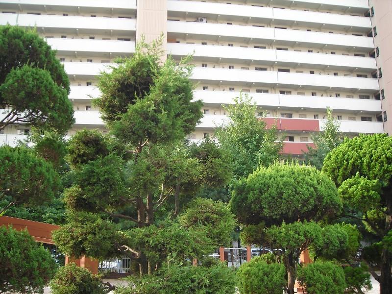 DSCN6044