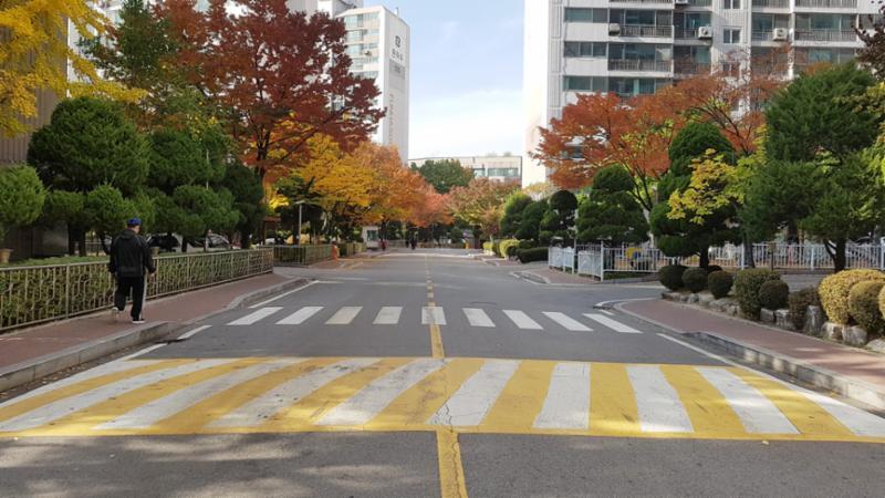 단지 내부를 이어주는 주도로예요