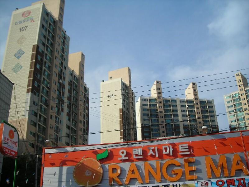 DSCN6685