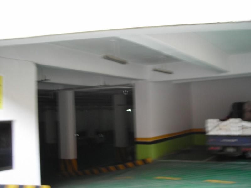 DSCN6733