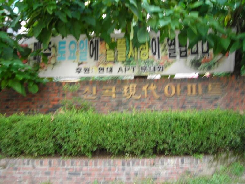 DSCN6798