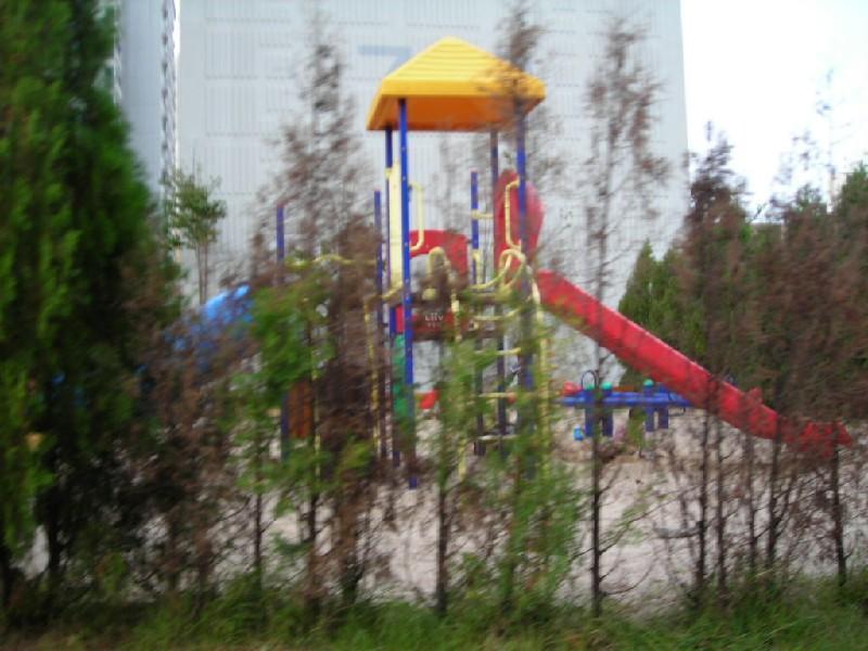DSCN6976