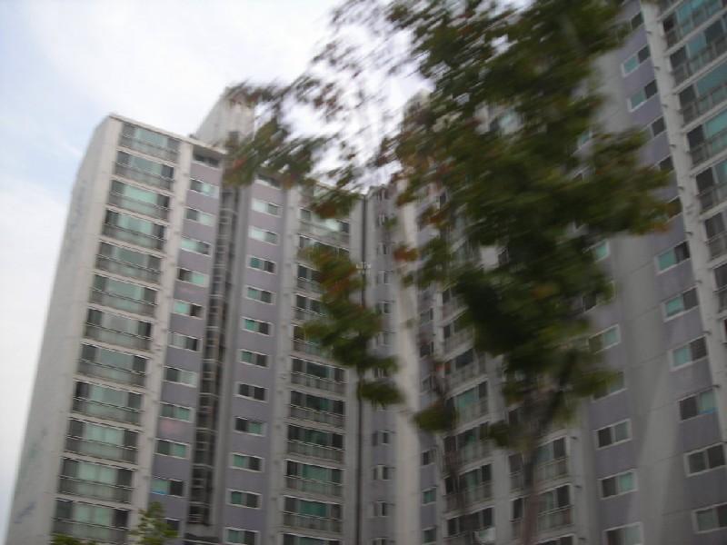 DSCN6963