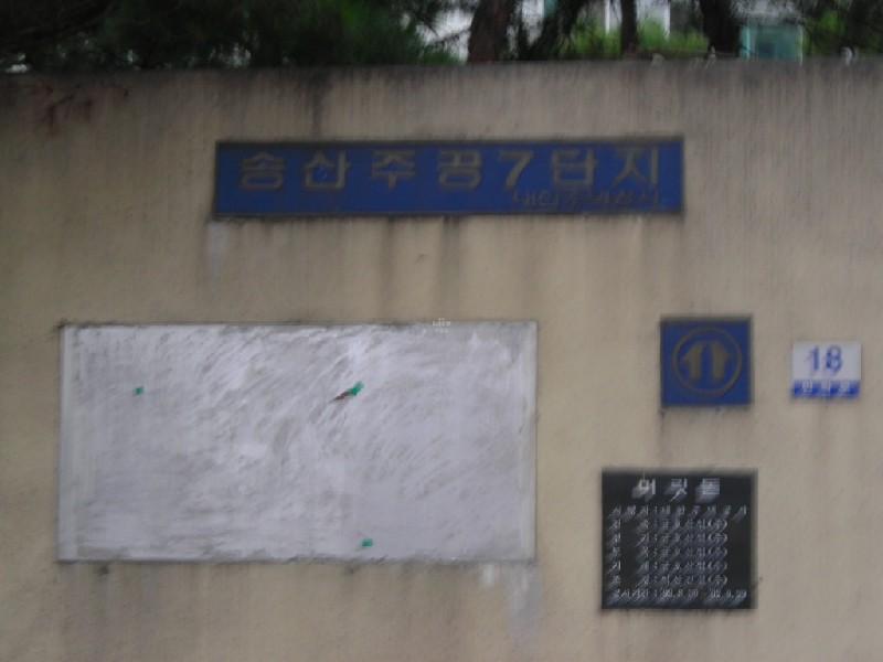 DSCN6966