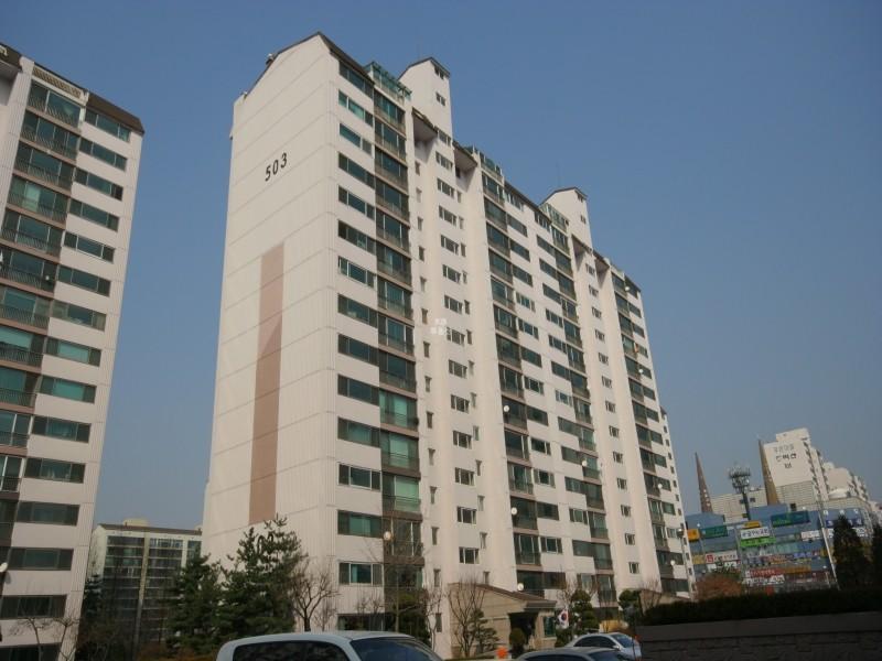 503동