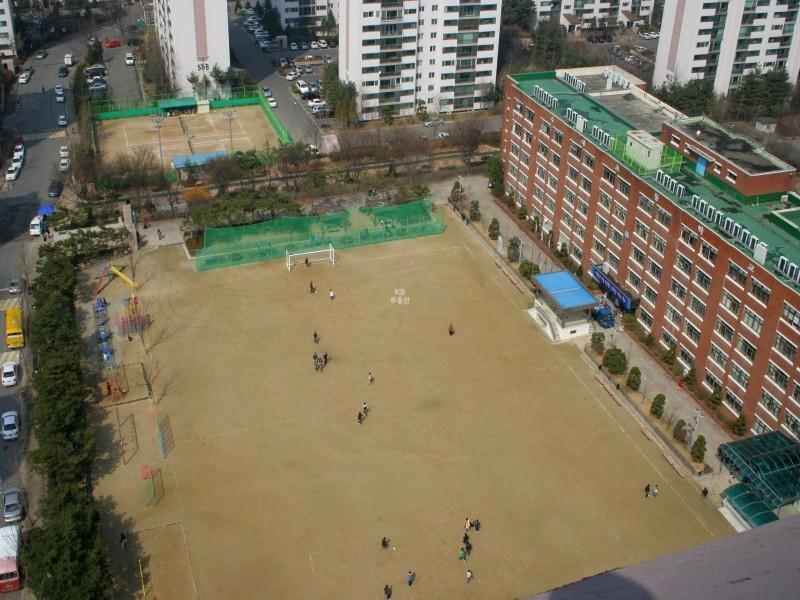 수내초교