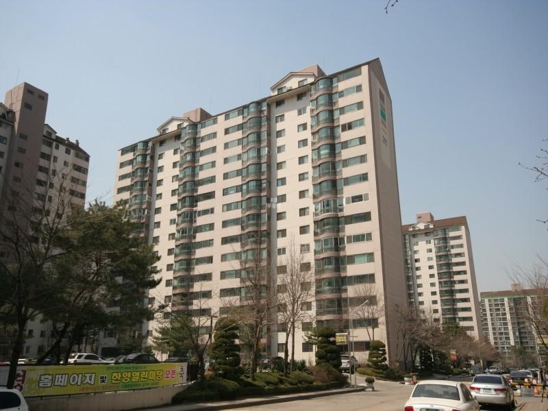 311동