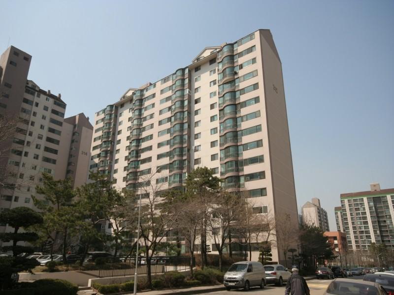 315동