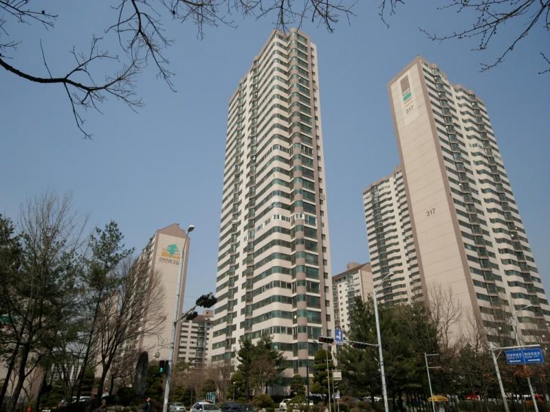 316동
