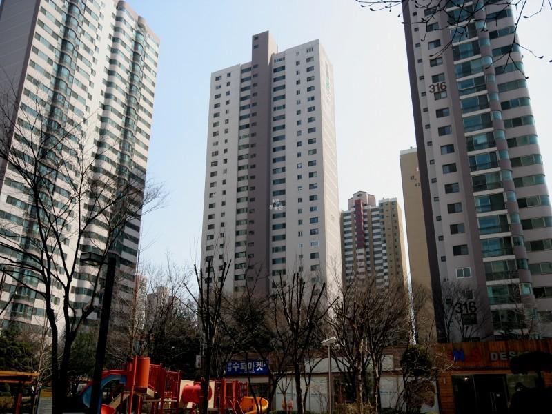 317동