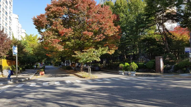 횡단보도가 있어 보행자들의 안전에 신경을 쓴 이매삼성 정문이에요