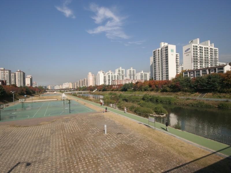 탄천내경기장