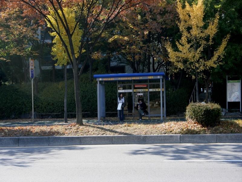 성남대로앞버스정류소