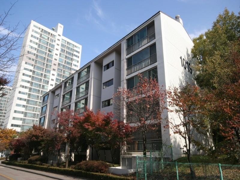 1019동