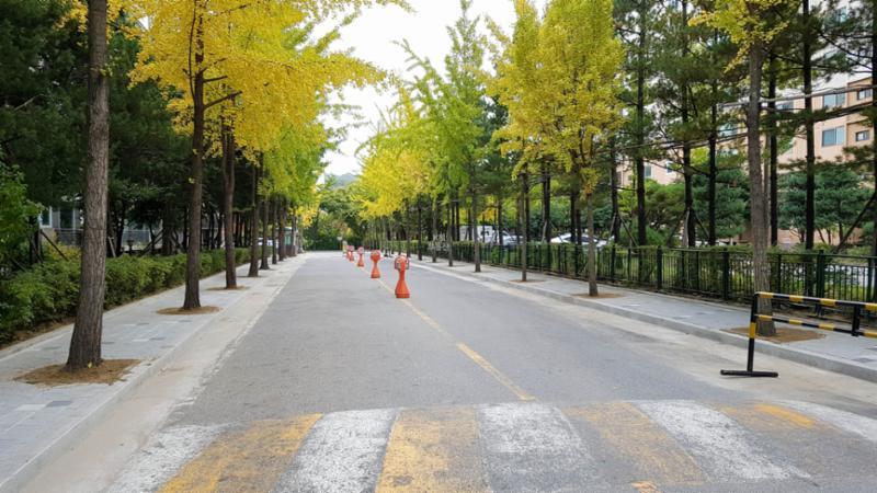 아름5단지풍림 단지 내 도로이에요