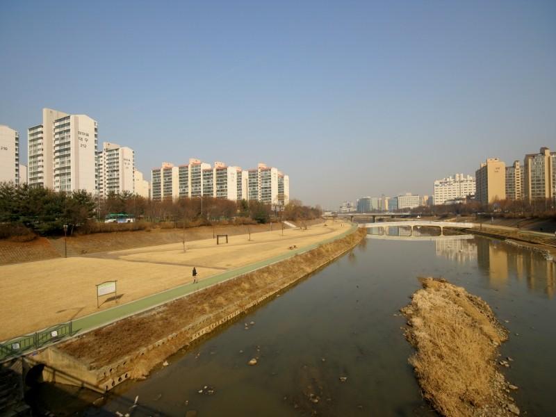탄천변공원