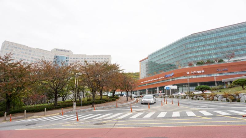 단지 주변에 위치한 대형 의료시설인 분당서울대학병원입니다