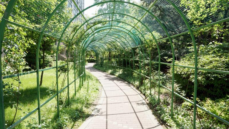 식사 후 산책하기도 좋고, 반려견을 산책시킬때도 좋은 단지 내 산책로네요