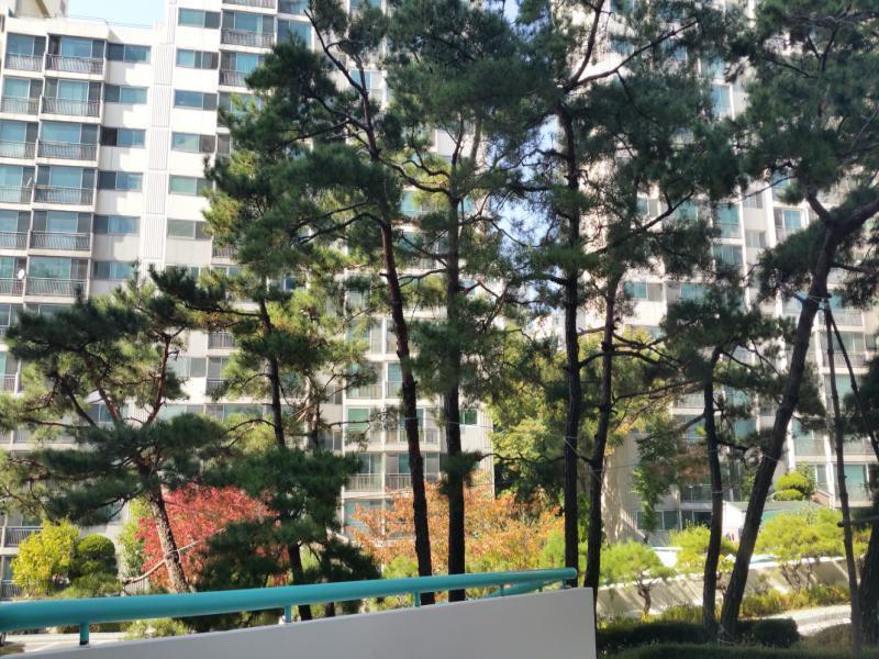무지개마을10단지삼성건영_단지사진_단지기본
