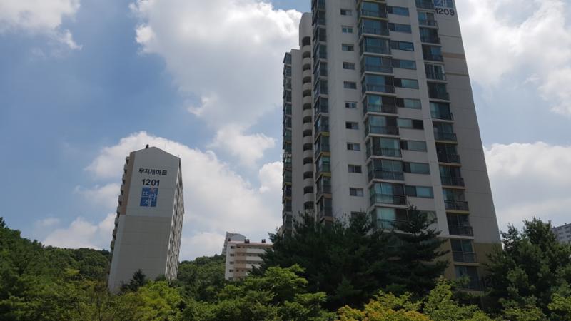 1995년에 입주한 단지여서 다소 세월의 흔적은 보이지만 페인트로 재마감해 깔끔한 외관을 자랑합니다