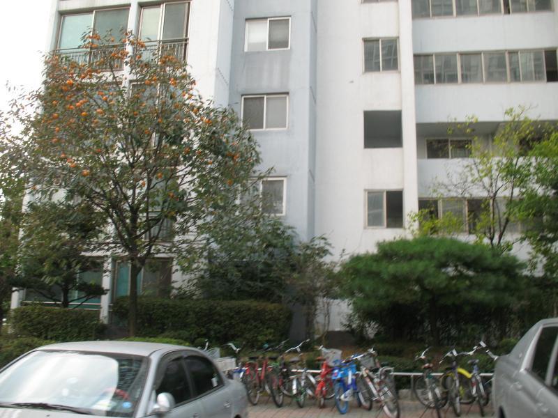 흰돌1단지금호타운_단지사진_단지기본