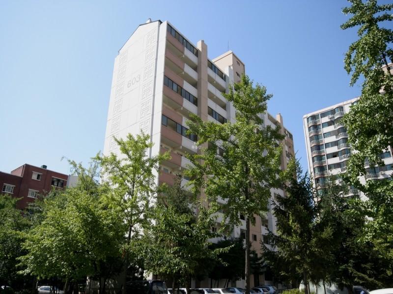 603동