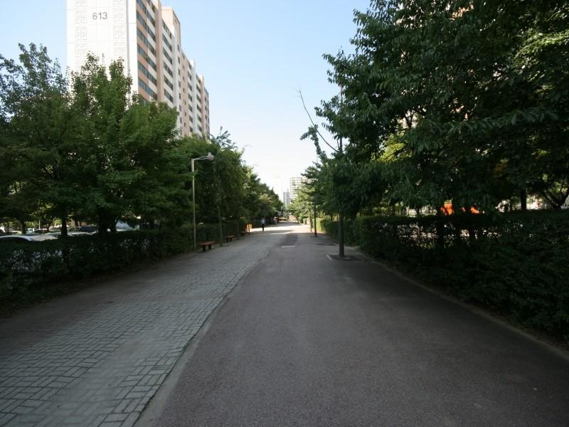 보행자전용통로1