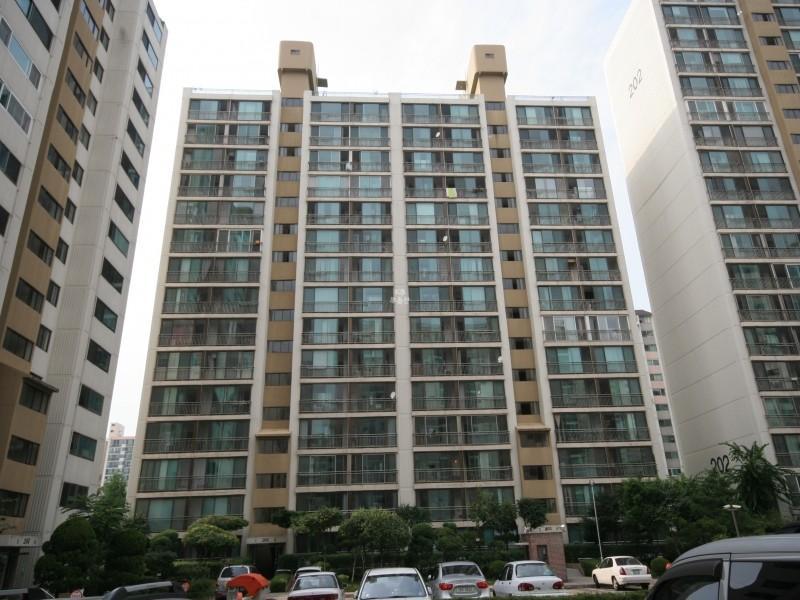 203동
