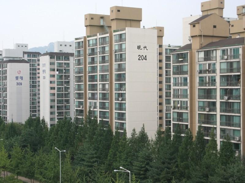 204동