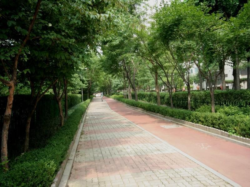 보행자전용통로