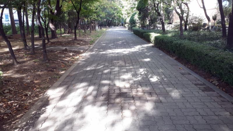 단지 내 보행로 및 산책로에요