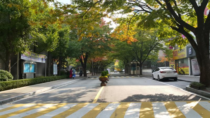 보행로와 차량통행로가 분리되어 있어 보행자들이 보다 안전하게 통행 할 수있는 단지 내 도로에요