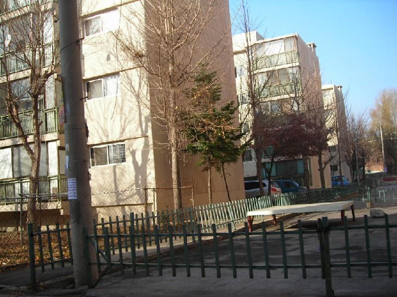 DSCN7836