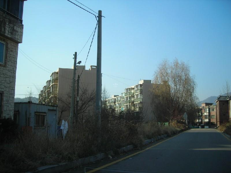 DSCN7838