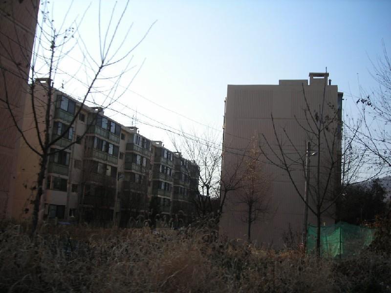 DSCN7839