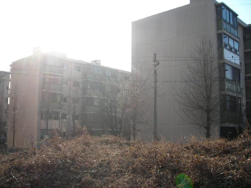 DSCN7840