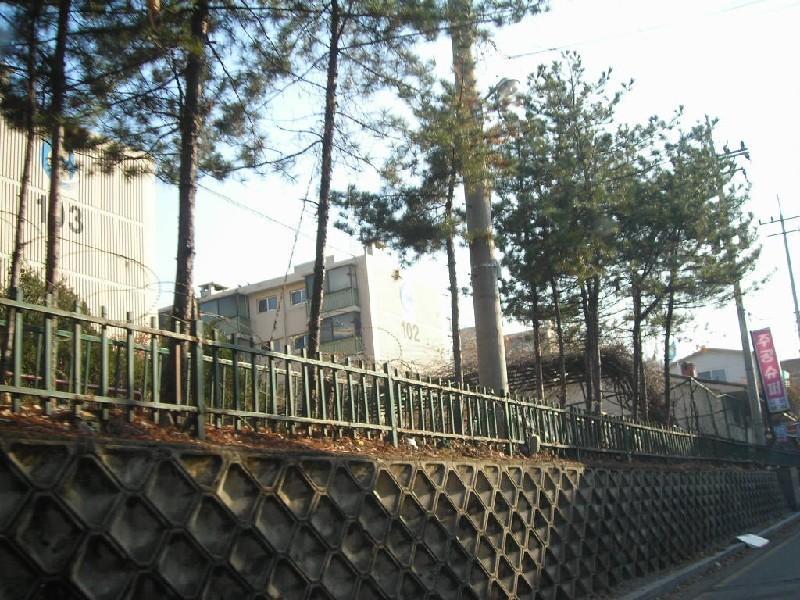 DSCN7845