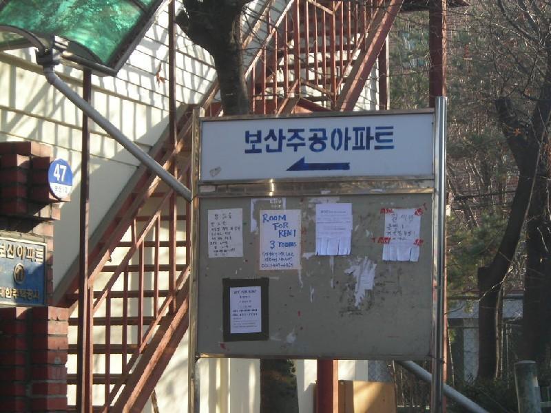 DSCN7847