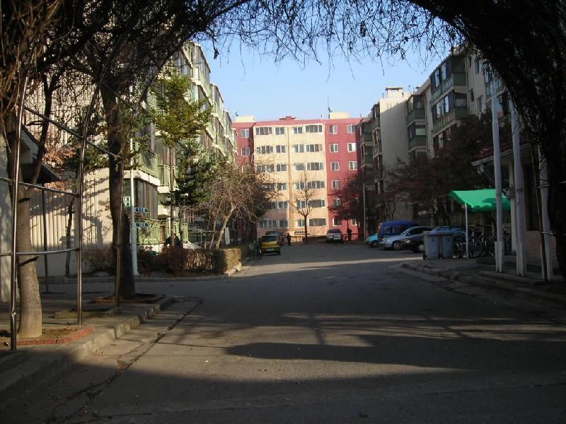 DSCN7848