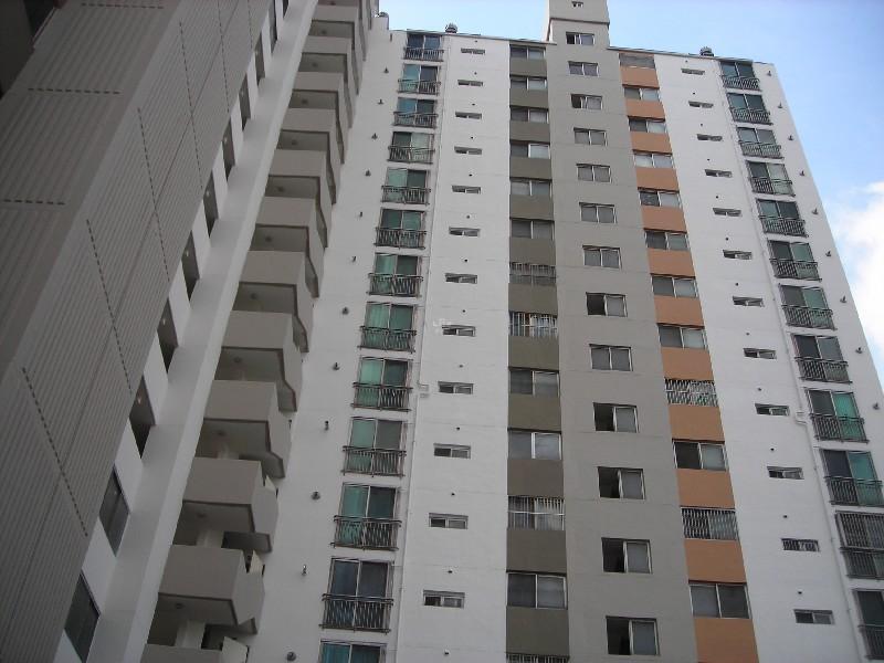 DSCN5447