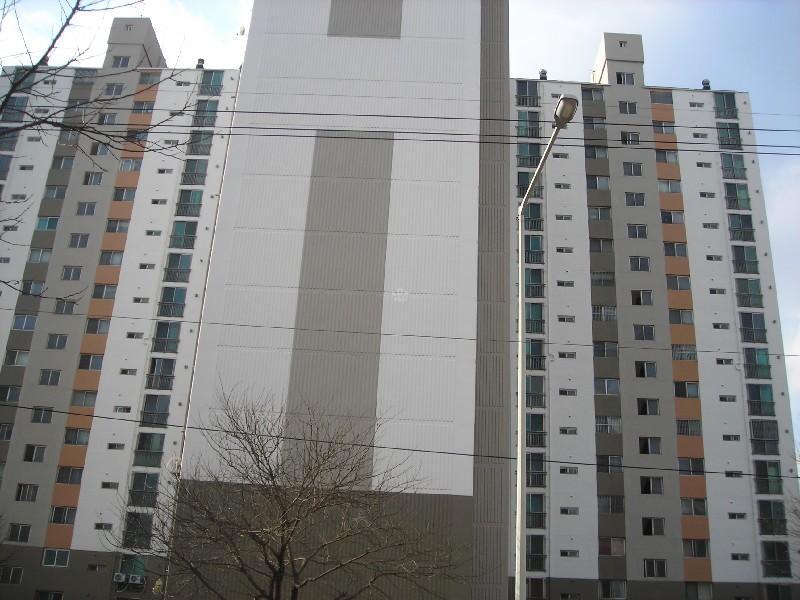 DSCN5452