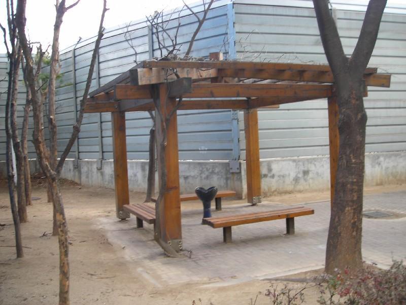DSCN5566