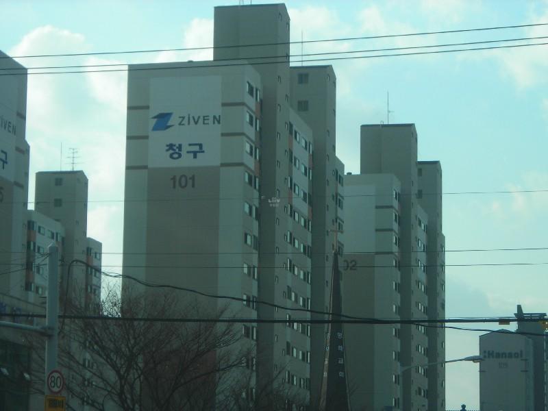 DSCN5573