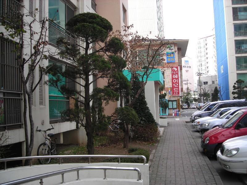 DSCN5572